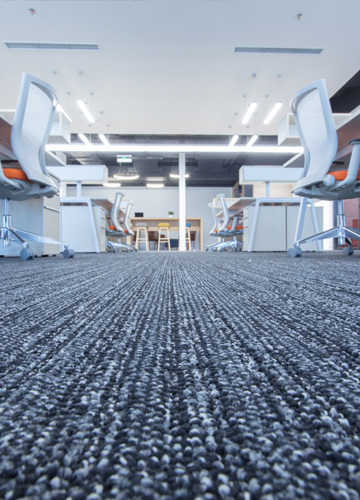 CARPET & TILING